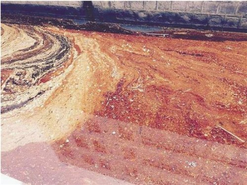 The river looks like an oil painting. (Photo/Qianjiang Evening News) The river looks like an oil painting. (Photo/Qianjiang Evening News)