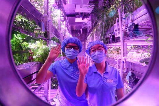 Two volunteers greet from inside the Lunar Palace 1, a facility for conducting bio-regenerative life-support systems experiments key to setting up a lunar base, in Beijing University for Aeronautics and Astronautics (BUAA) in Beijing, capital of China, May 10, 2017. (Xinhua/Ju Huanzong) Two volunteers greet from inside the Lunar Palace 1, a facility for conducting bio-regenerative life-support systems experiments key to setting up a lunar base, in Beijing University for Aeronautics and Astronautics (BUAA) in Beijing, capital of China, May 10, 2017. (Xinhua/Ju Huanzong)