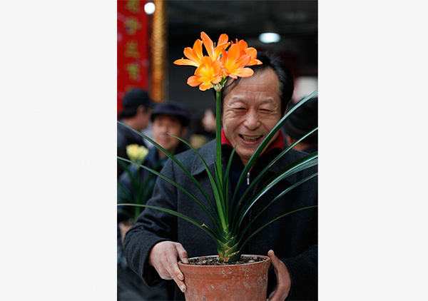 A local resident in Changchun, capital of Jilin province, holds a clivia flower, which he cultivated for 15 years, at the 8th Clivia Festival in the city. (Photo provided to China Daily) A local resident in Changchun, capital of Jilin province, holds a clivia flower, which he cultivated for 15 years, at the 8th Clivia Festival in the city. (Photo provided to China Daily)