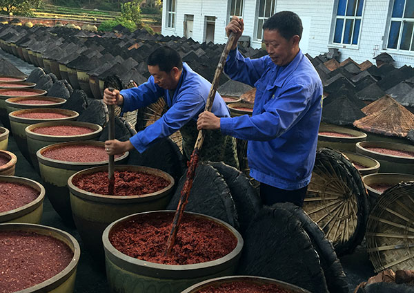Workers process hot pepper sauce at Yiliuxiang Food Co in Shizhu county, Chongqing. The company is one of the beneficiaries of the poverty relief financial programs. (Photo: China Daily/Tan Yingzi) Workers process hot pepper sauce at Yiliuxiang Food Co in Shizhu county, Chongqing. The company is one of the beneficiaries of the poverty relief financial programs. (Photo: China Daily/Tan Yingzi)