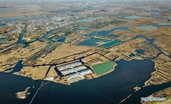 This aerial photo taken on March 29, 2018 shows a village amid the Baiyangdian lake in Xiongan New Area, north China's Hebei Province. (Xinhua/Yang Shiyao) This aerial photo taken on March 29, 2018 shows a village amid the Baiyangdian lake in Xiongan New Area, north China's Hebei Province. (Xinhua/Yang Shiyao)