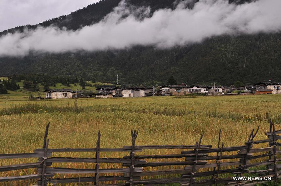 'Green development' adhered in Tibet(1/9)