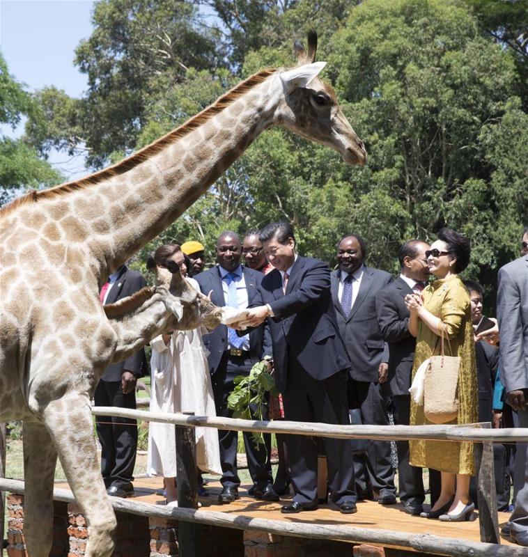 Xi reaffirms China's commitment to wildlife protection(1/2)