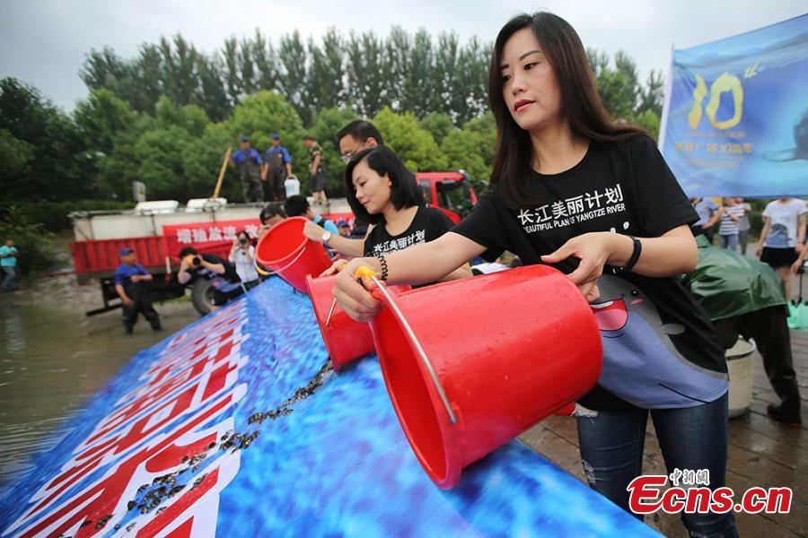 Nanjing promotes animal protection by releasing one million fish fries(1/3)