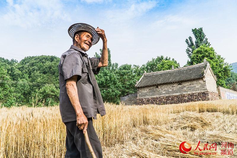 92-year-old harvesting wheat strikes a chord(1/8)