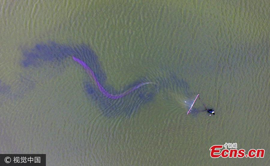 Locals fish for artemia in inland salt lake (1/3)