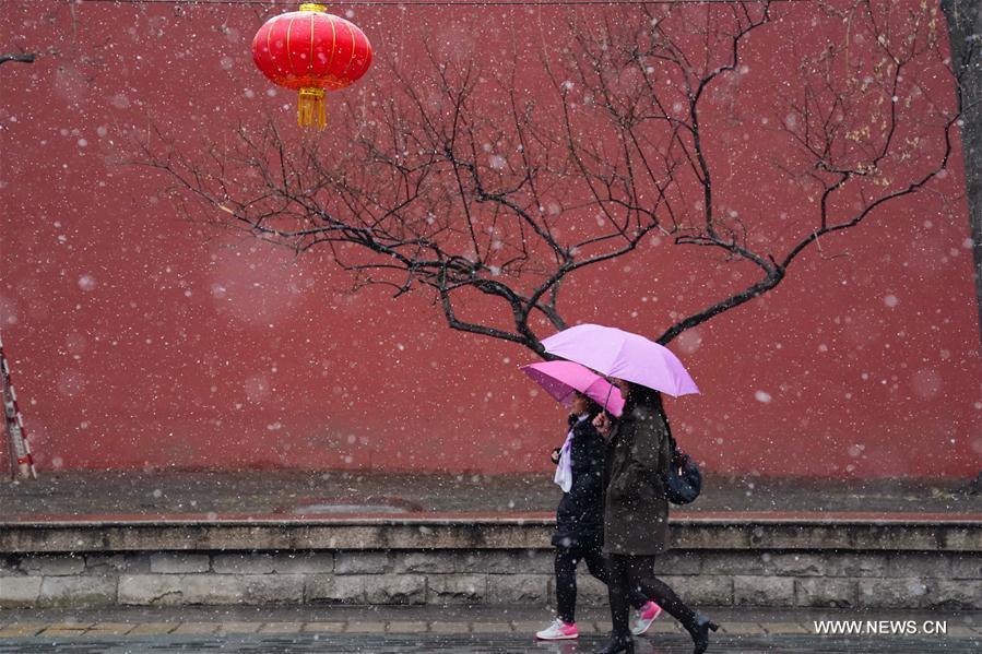 Snowfall hits Beijing(1/6)