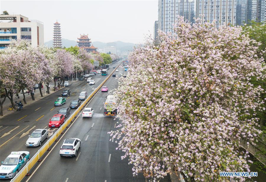 People enjoy spring scenery across China(1/8)