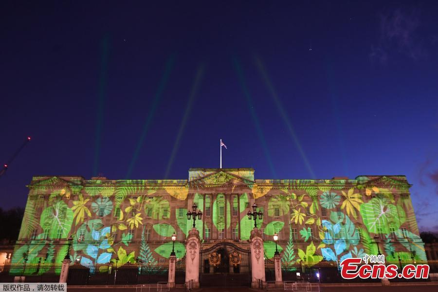 Buckingham Palace illuminated by rainforest projection(1/4)