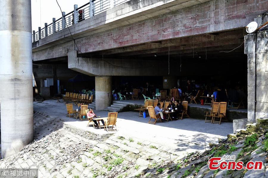 Tea house under bridge popular in summer (1/3)