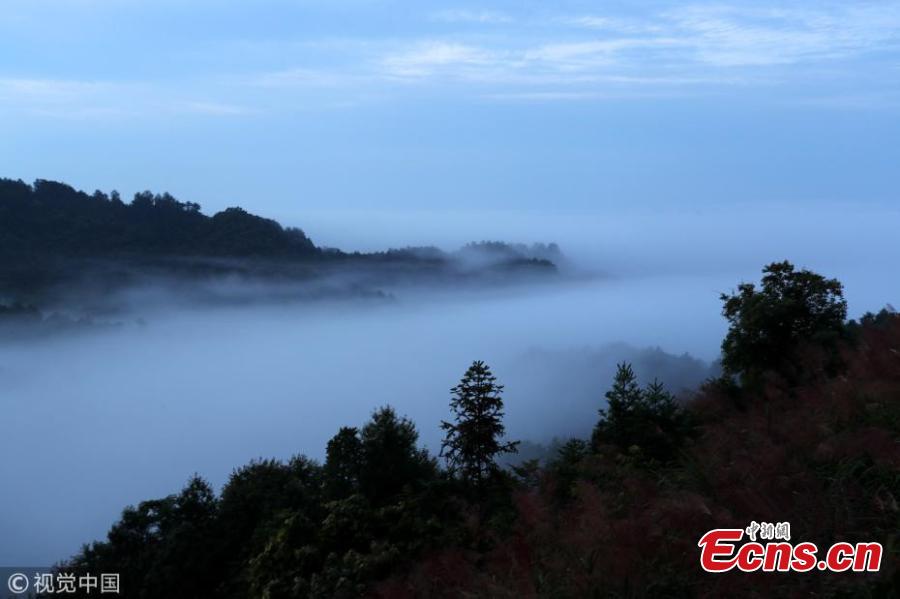 A sea of clouds after rain as the sun rises in the Qiyun Mountains in Huangshan City, East China’s Anhui Province, June 7, 2018. (Photo/VCG)