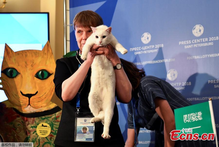 A participant holds Achilles the cat, one of the State Hermitage Museum mice hunters, which attempts to predict the result of the opening match of the 2018 FIFA World Cup between Russia and Saudi Arabia during an event in Saint Petersburg, Russia June 13, 2018. (Photo/Agencies)