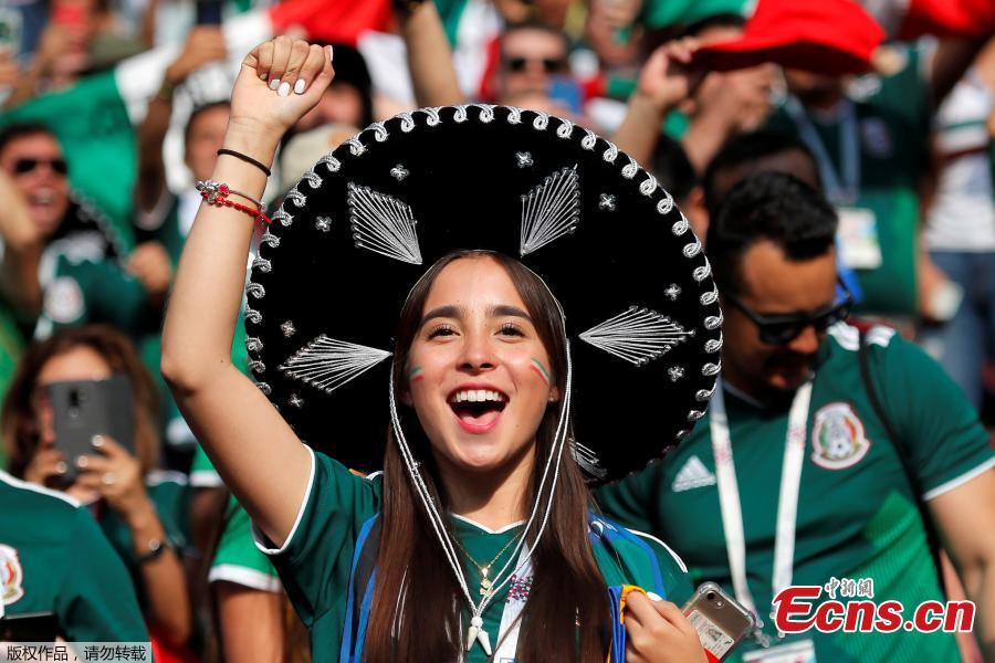 A fan during the match between Germany and Mexico in Luzhniki Stadium, Moscow, Russia, June 17, 2018. (Photo/Agencies)