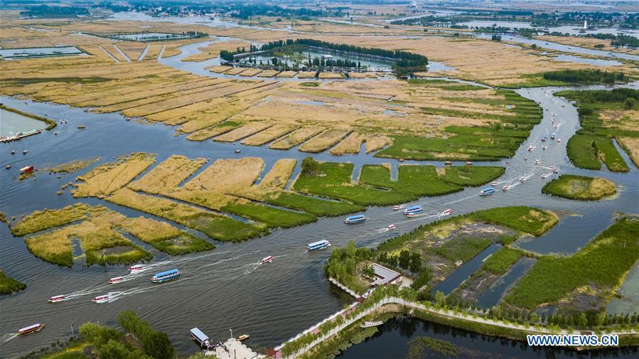Aerial photo taken on April 30, 2018 shows the Baiyangdian scenic area in Xiongan New Area, north China\'s Hebei Province. Comprehensive progress has been made since the report delivered at the 18th National Congress of the Communist Party of China (CPC) in 2012 included ecological development as a major task in the country\'s overall plan and proposed building a \