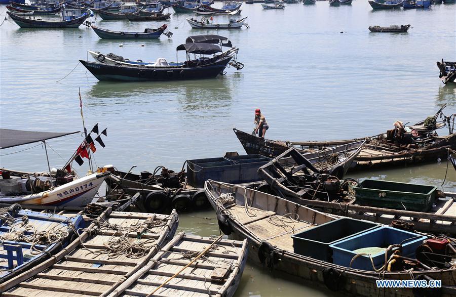 Fishing boats are seen at berth at a harbor in Liuao Township of Zhangpu County, southeast China\'s Fujian Province, July 9, 2018. A yellow-level alert has been issued and third-level emergency response has been activated to cope with approaching typhoon Maria, the eighth typhoon this year, in China\'s coastal provinces. (Xinhua/Qiu Feng)
