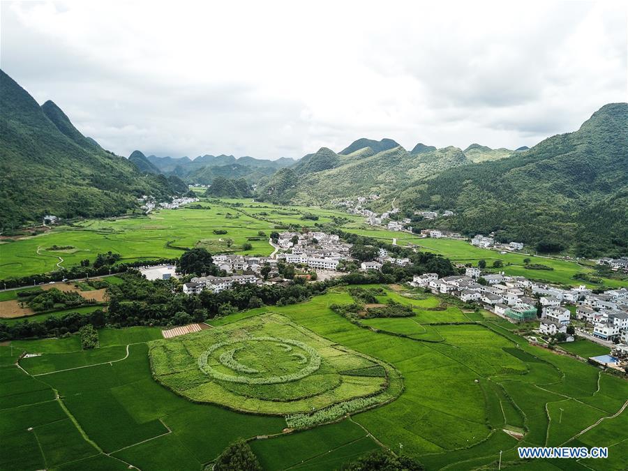 This aerial photo taken on July 15, 2018 shows a village embraced by karst hills within the Wanfenglin scenic area in Xingyi, southwest China\'s Guizhou Province. (Xinhua/Tao Liang)