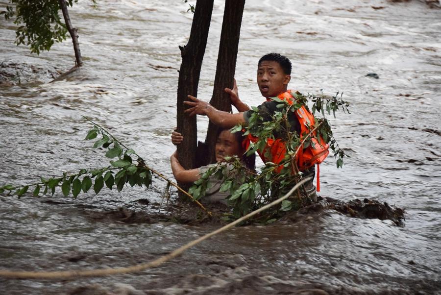 A firefighter tries to rescue a woman clinging to a tree after she was stranded in floodwaters in Huairou district, Beijing, on July 16, 2018. The woman\'s vehicle was damaged by water in the flood triggered by a torrential rain. She abandoned the vehicle and tried to swim to a safe place but was held back by turbulent water flow. (Photo provided to chinadaily.com.cn)