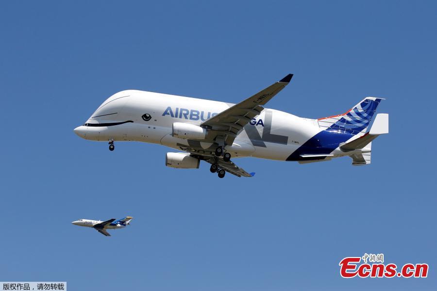 An Airbus Beluga XL transport plane flies during its first flight event in Colomiers near Toulouse, France, July 19, 2018. (Photo/Agencies)