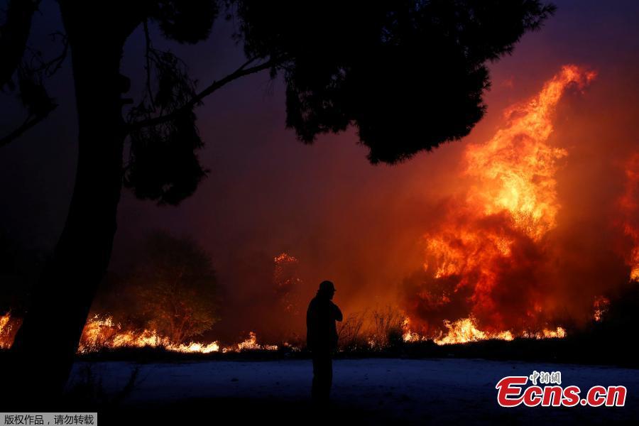 A man looks at the flames as a wildfire burns in the town of Rafina, near Athens, Greece, July 23, 2018. At least 20 people died and more than 100 were injured on Monday as a wildfire swept through a small resort town in eastern Greece with many victims trapped by flames as they fled. (Photo/Agencies)