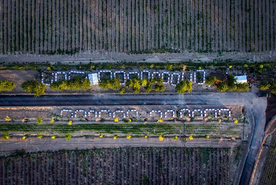 The couple\'s 650 beehives are scattered tidily along a road running through lavender fields. (Photo/Xinhua)
Persistence pays off in the end, and Zhou attributes his success to diligence. To guarantee the quality of his honey, he only harvests two or three times a month, while other apiarists do it every two or three days.
Bees and keepers feed each other, Zhou said, and this means he must show his bees respect. This respect was put to the test in the 1990s, when the price of honey plummeted and many beekeepers quit and took other jobs. But Zhou could not bring himself to sell his \