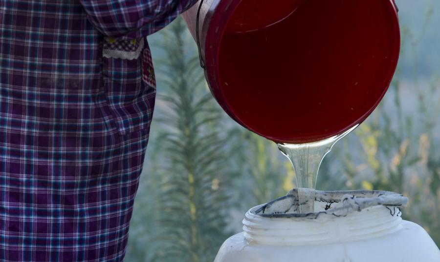 Zhou Heying pours fresh lavender honey into a bigger container. (Photo/Xinhua)
Zhou has been keeping bees for over 30 years. He started out with just 15 beehives and now has 650.
In the old days, when the lavender season finished he would move his colony into the mountains with a donkey and cart. Today he uses a truck to transport his 30 million workers.
Much has changed for Zhou in the three decades that he has kept bees, but one thing remains constant-his passion to spread the fragrance and sweetness of Ili across China, and beyond.