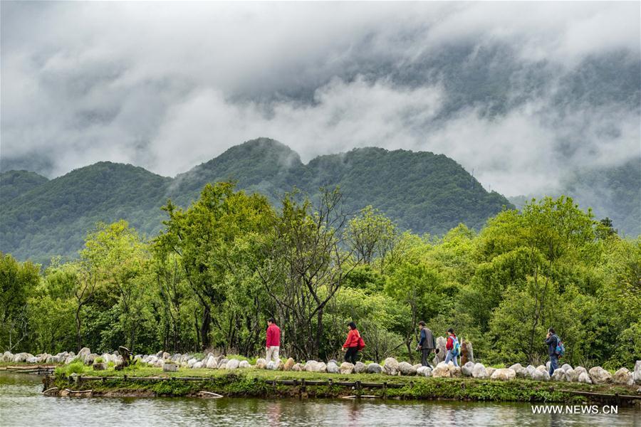 Tourists visit the Dajiuhu wetland in Shennongjia, central China\'s Hubei Province, May 18, 2018. (Xinhua/Du Huaju)