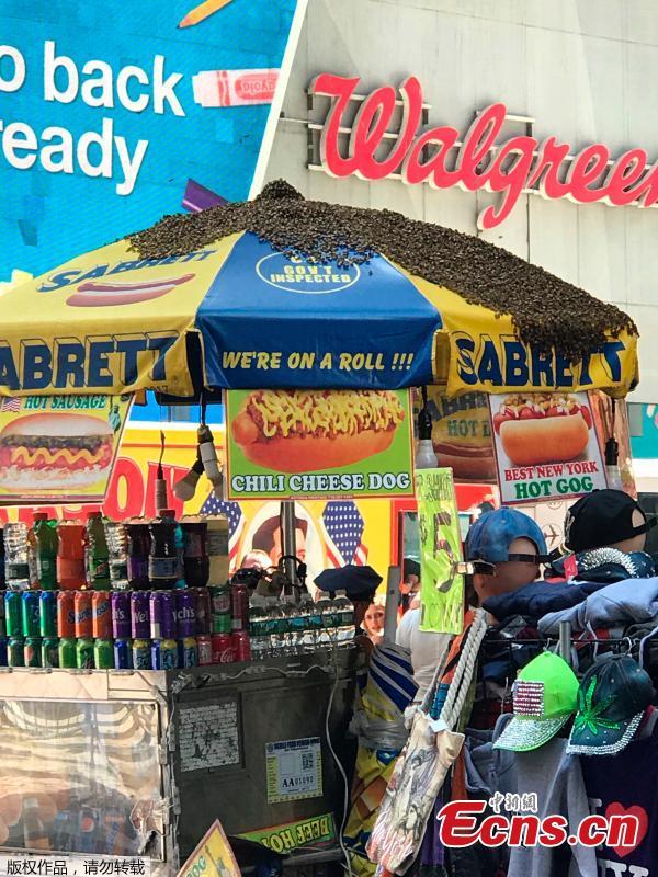 A swarm of bees land on a hot dog cart in Times Square in New York City, U.S., Aug. 28, 2018. The New York Police Department\'s bee keepers unit responded to the scene and safely removed the bees without incident. (Photo/Agencies)