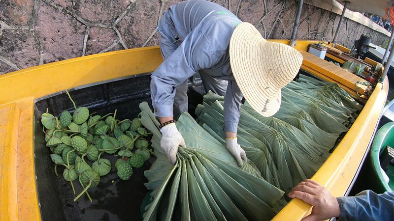 A maintenance worker prepares fresh leaves for the morning sale. (Photo/China Daily)

The patrons not only volunteer to arrive first at the lakeside site in the small hours, but have to sit on a bench that acts as the ticket office, and remain there until the close of trading to ensure that business is conducted in an orderly manner.

No one knows the names of the volunteers, and no personal information or contact details about them is exchanged.

A few regulars may recognize the faces of this mysterious \