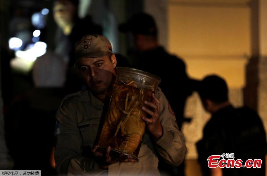 A firefighter rescues items during a fire at the National Museum of Brazil in Rio de Janeiro, Brazil September 2, 2018.  (Photo/Agencies)