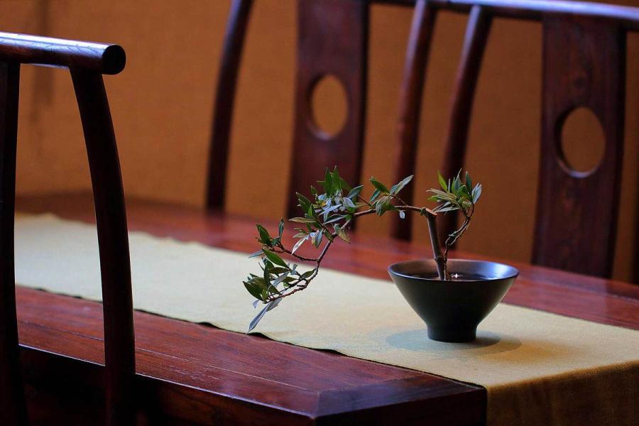 Tranquility of the teahouse. Chengdu 2017 (Photo by Bruce Connolly/chinadaily.com.cn)
