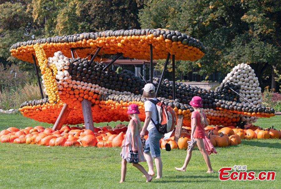 Visitors walk in front of a sculpture displaying a airplane during the autumn exhibition \'Flying\' at the horticultural exhibition \'ega\' (Erfurt Garden Construction Exhibition) in Erfurt, Germany, Wednesday, Sept. 5, 2018. Gardeners created different sculptures with thousands of pumpkins. The exhibition started on Sept. 2, 2018 and last until Oct. 31, 2018.(Photo/Agencies)