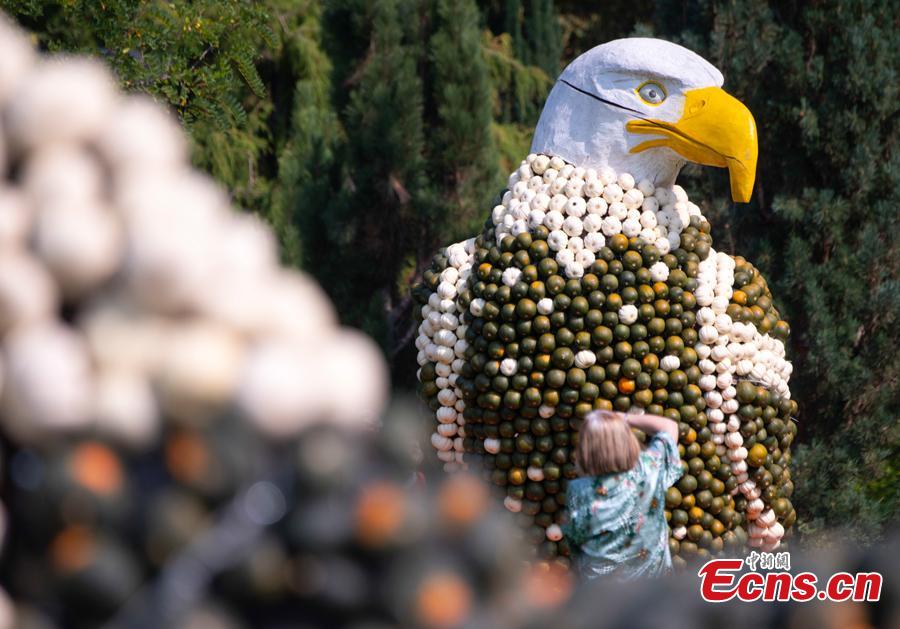 A visitor shoots photos of a sculpture displaying a white head eagles during the autumn exhibition \'Flying\' at the horticultural exhibition \'ega\' (Erfurt Garden Construction Exhibition) in Erfurt, Germany, Wednesday, Sept. 5, 2018. Gardeners created different sculptures with thousands of pumpkins. The exhibition started on Sept. 2, 2018 and last until Oct. 31, 2018.(Photo/Agencies)