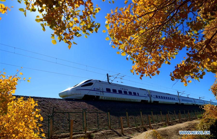A bullet train runs past the forest of populus euphratica, commonly known as desert poplar, in the Mogao Township of Dunhuang City, northwest China\'s Gansu Province, Oct. 6, 2018. (Xinhua/Zhang Xiaoliang)