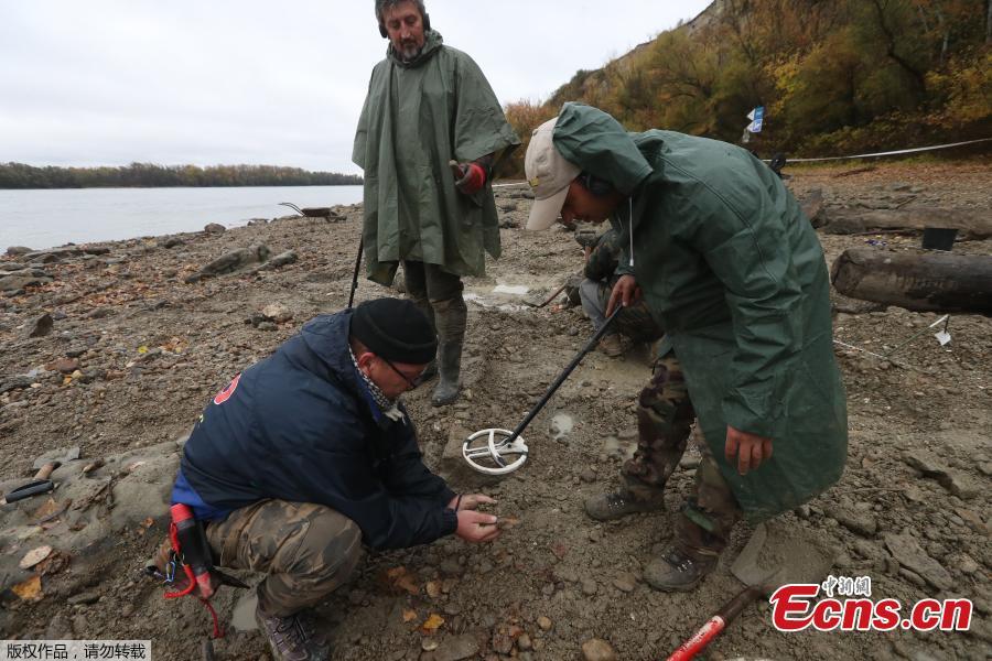 Hungarian archaeologists inspect the site where they found coins from the 16th-17th centuries and special weapons on the banks of the Danube river due to its low water level on October 25, 2018 near Erd, located 25 kilometers from Budapest. According to archaeologists working on site, the treasure comes from a cargo of a commercial ship that probably sank in the 18th century. (Photo/Agencies)