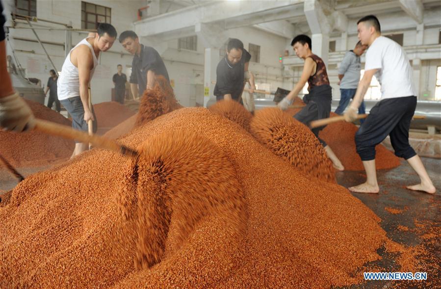 Workers process sorghum grains at a distillery of Kweichow Moutai in Maotai town in the city of Renhuai in southwest China\'s Guizhou Province, Oct. 23, 2018. Maotai is a small town in Renhuai City in mountainous Guizhou. What distinguishes it from other Chinese small towns is that it produces a famous brand of Chinese liquor Moutai, which often served on official occasions and at state banquets. The spirit, made from sorghum and wheat, takes up to five years for the whole production process, involving nine times of steaming, eight times of fermentation and seven times of distillation, before aged in clay pots. Moutai is also considered a luxury item that has long been a popular gift. China\'s alcohol industry earned about 1 trillion yuan in revenue in 2017. The total profits rose by 36 percent year on year to over 100 billion yuan, according to China National Light Industry Council. (Xinhua/Yang Wenbin)