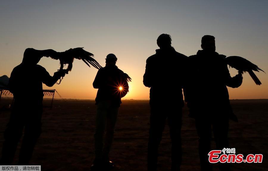 Members of Egy Falconer Club and austringers look at sunrise during a celebration on World Falconry Day at Borg al-Arab desert in Alexandria, Egypt, November 17, 2018. (Photo/Agencies)