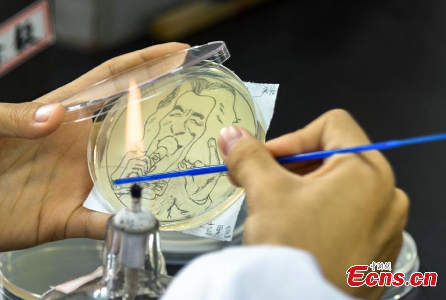 Patterns formed with bacteria are shown in petri dishes during a microbial art competition at China Pharmaceutical University in Nanjing, East China’s Jiangsu province. Students of the school have created artworks by placing various strains of bacteria like staphylococcus and colibacillus into petri dishes, and letting the microbes react and spread across carefully drawn patterns. (Photo: China News Service/ Jiang Chen)
