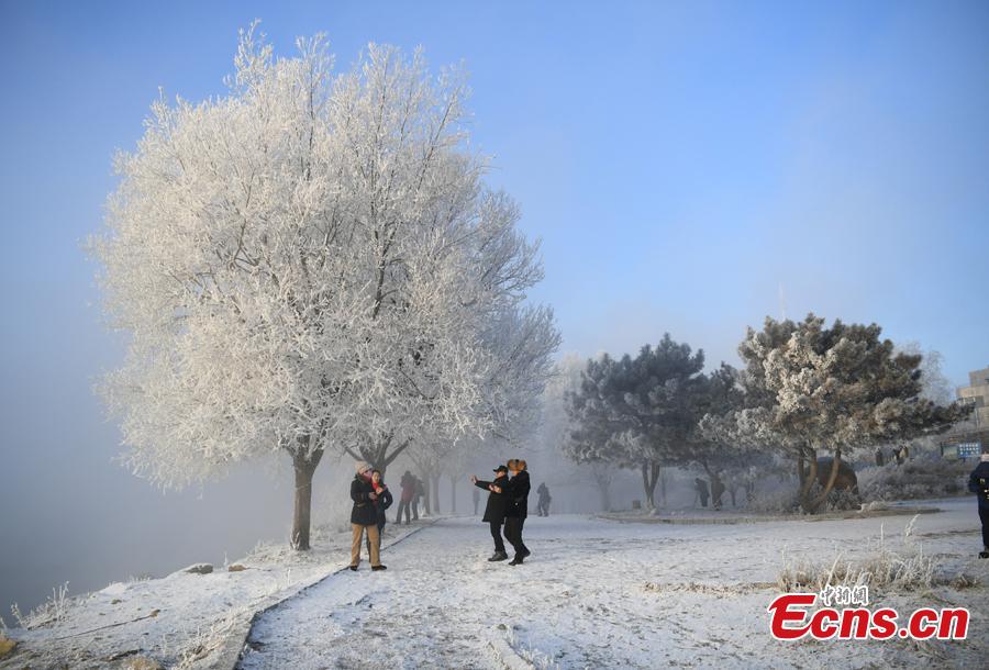 People take photos in front of trees with rime along the Songhua River in Jilin City, Jilin Province, Dec. 12, 2018. The breathtaking scenery attracted many visitors.(Photo; China News Service/Zhang Yao)