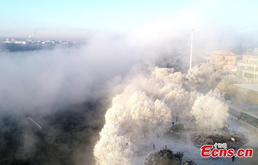 Photo taken on Dec. 12, 2018 shows breathtaking rime scenery along the Songhua River in Jilin City, Jilin Province. (Photo; China News Service/Zhang Yao)
