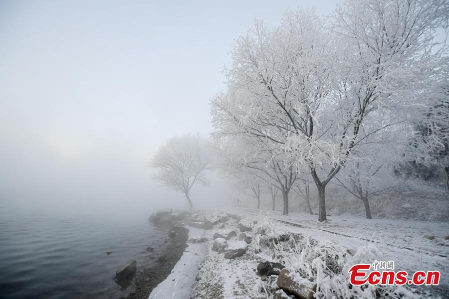Photo taken on Dec. 12, 2018 shows breathtaking rime scenery along the Songhua River in Jilin City, Jilin Province. (Photo; China News Service/Zhang Yao)