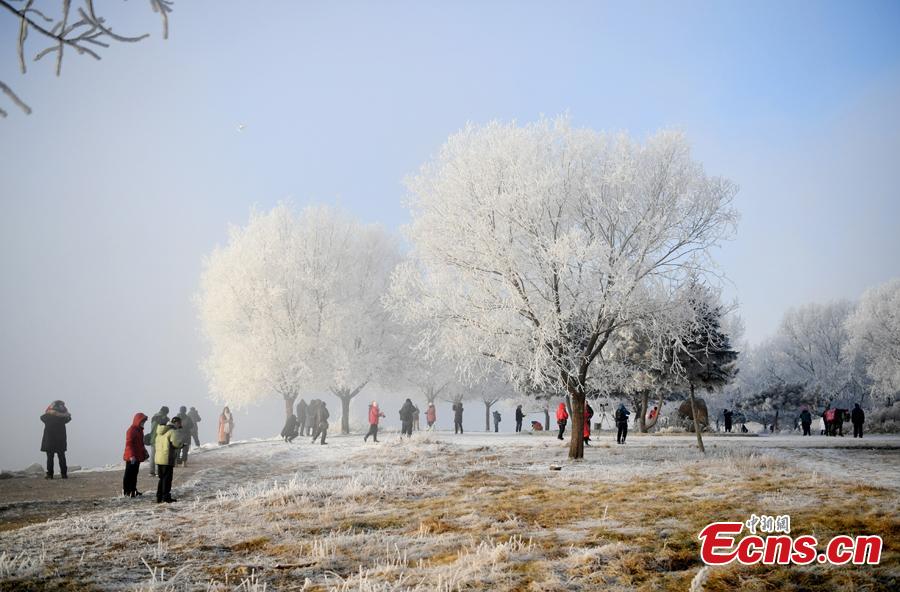 The rime scenery along the Songhua River in Jilin City, Jilin Province attracts many visitors, Dec. 12, 2018. (Photo; China News Service/Zhang Yao)