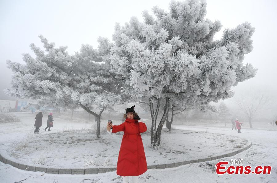 A woman takes photos in front of trees with rime along the Songhua River in Jilin City, Jilin Province, Dec. 12, 2018. The breathtaking scenery attracted many visitors. (Photo; China News Service/Zhang Yao)