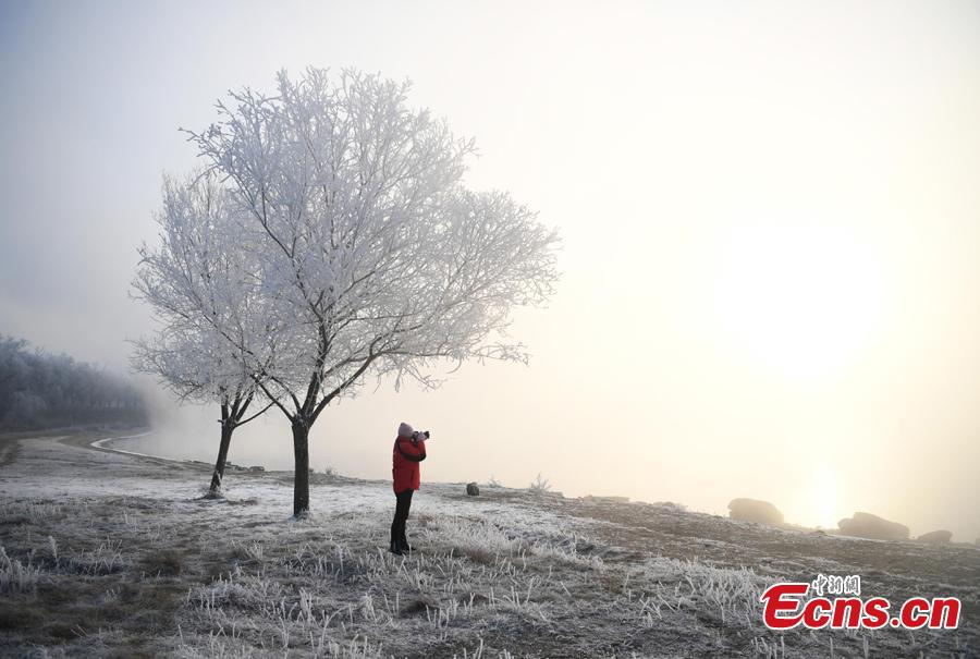 Photo taken on Dec. 12, 2018 shows breathtaking rime scenery along the Songhua River in Jilin City, Jilin Province. (Photo; China News Service/Zhang Yao)