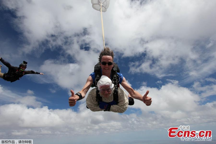 Irene O\'Shea takes part in skydive with jump instructor Jed Smith above Langhorne Creek, Australia on December 9, 2018. (Photo/Agencies)
A 102-year-old great-grandmother is believed to have become the world’s oldest skydiver after plunging 14,000 feet (4,300 metres) through the South Australian sky. Irene O’Shea first skydived on her 100th birthday, and has been jumping every year since. This was the second year she was skydiving to raise awareness for motor neuron disease which claimed her daughter’s life 10 years ago.