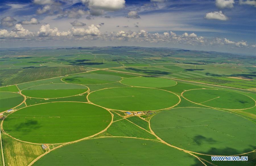 Aerial photo taken on July 25, 2018 shows farmlands in Zhangjiakou, north China\'s Hebei Province. Colors make our world bright and beautiful. In 2018, Xinhua photographers across China explored views from the sky with drones. Here are these drone photos with amazing colors. (Xinhua/Yang Shiyao)