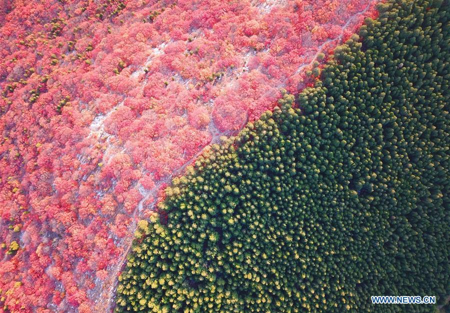 Aerial photo taken on Oct. 31, 2018 shows the scenery of Xiezi Mountain in Jinan, capital city of east China\'s Shandong Province. Colors make our world bright and beautiful. In 2018, Xinhua photographers across China explored views from the sky with drones. Here are these drone photos with amazing colors. (Xinhua/Zhu Zheng)