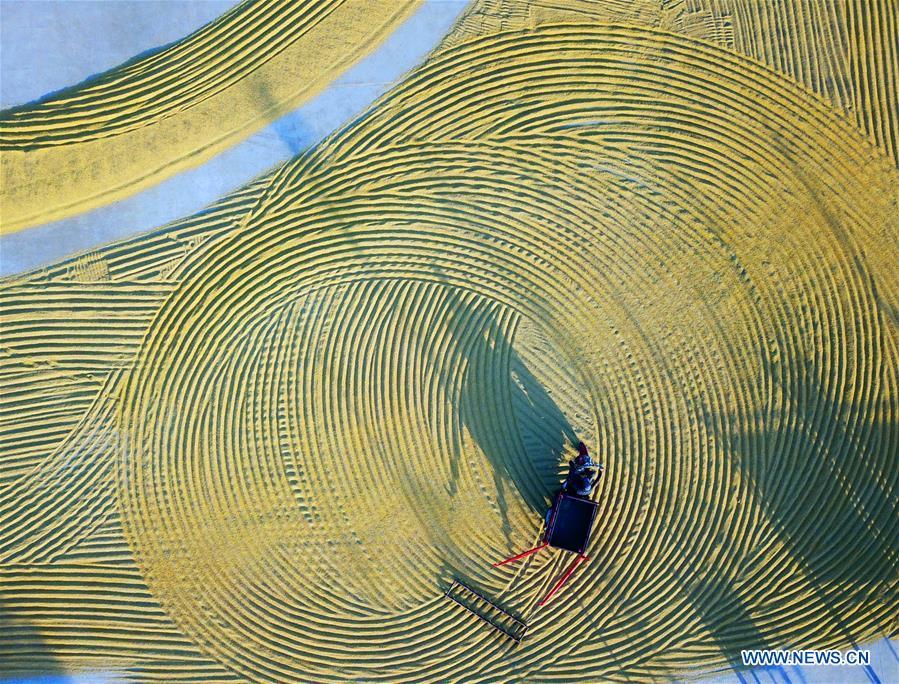 Aerial photo taken on Oct. 29, 2018 shows a farmer raking rice for air-drying in Qufang Village of the Ganyu District in Lianyungang City, east China\'s Jiangsu Province. Colors make our world bright and beautiful. In 2018, Xinhua photographers across China explored views from the sky with drones. Here are these drone photos with amazing colors. (Xinhua/Geng Yuhe)