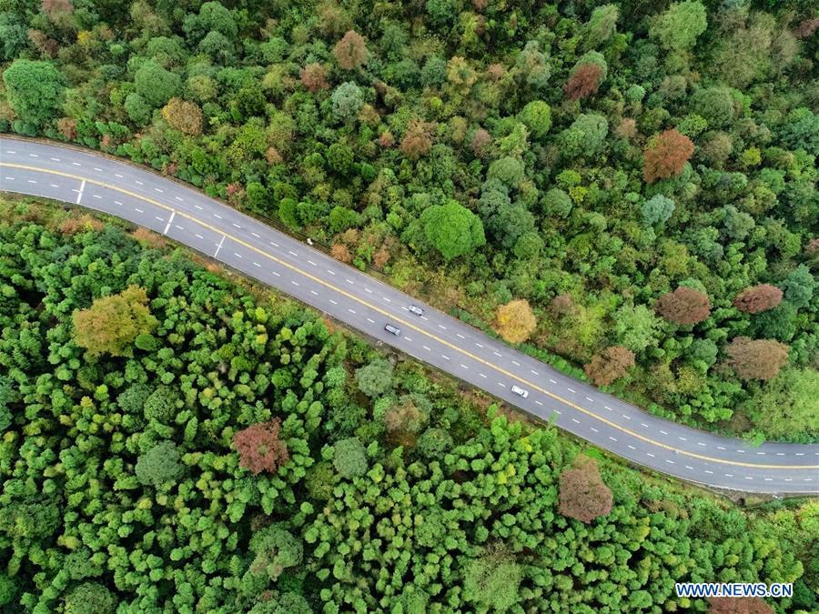 Aerial photo shows cars running on a mountain road in Ji\'an City, east China\'s Jiangxi Province, Nov. 21, 2018. Colors make our world bright and beautiful. In 2018, Xinhua photographers across China explored views from the sky with drones. Here are these drone photos with amazing colors. (Xinhua/Hu Chenhuan)
