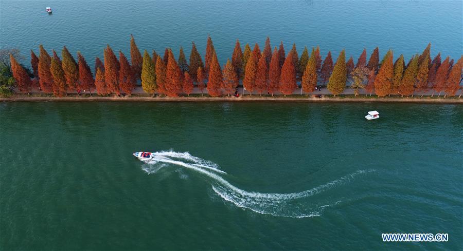 Aerial photo taken on Nov. 25, 2018 shows a view of the Nianjia Lake at the Martyrs Park in Changsha, capital of central China\'s Hunan Province. Colors make our world bright and beautiful. In 2018, Xinhua photographers across China explored views from the sky with drones. Here are these drone photos with amazing colors. (Xinhua/Li Ga)