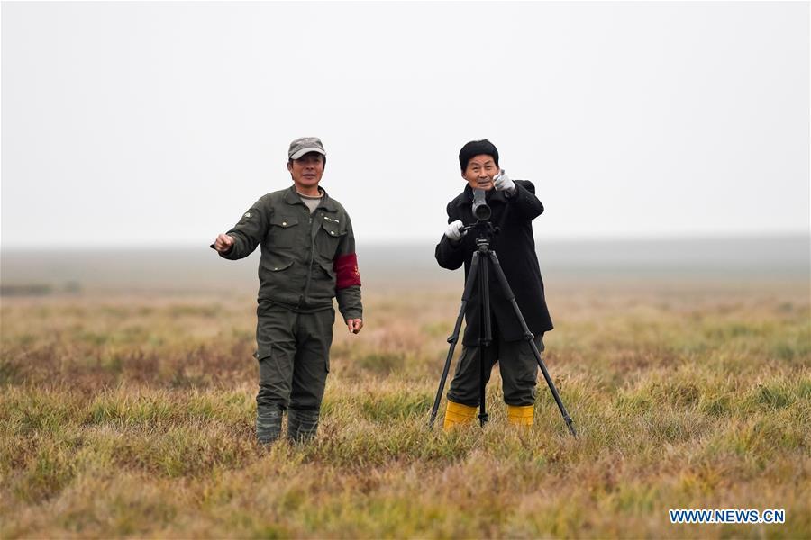 Wang Sanyi (R) observes migrant birds in Caizi Lake wetland, Anqing, in east China\'s Anhui Province, Dec. 22, 2018. Wang Sanyi, 69, founded the Caizi Lake wetland ecological protection association with more than 300 members in 2010. Some villagers who used to be hunters now join the association, becoming volunteers to protect migrant birds. With the help of the association, the ecological environment of Caizi Lake wetland has been improved in recent years. Thanks to the efforts of protection, more and more migrant birds are seen here overwintering. \